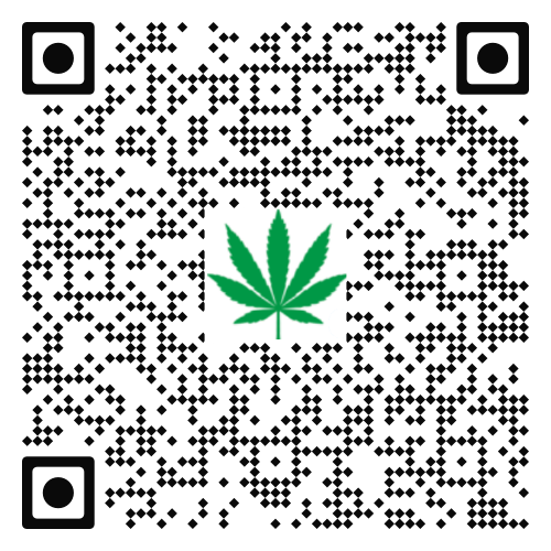 Email QR Code